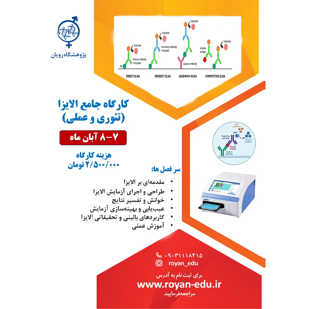کارگاه الایزا 1